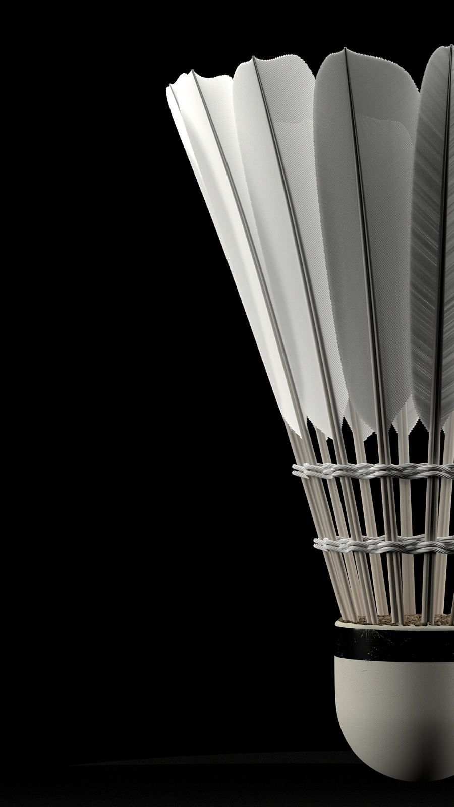 的体育频道 的体育频道