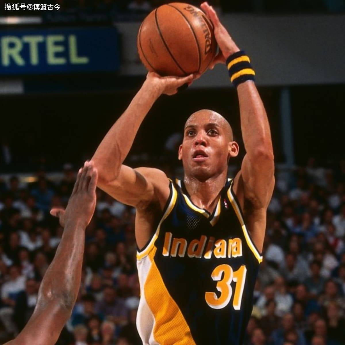 提供了新的 提供了新的