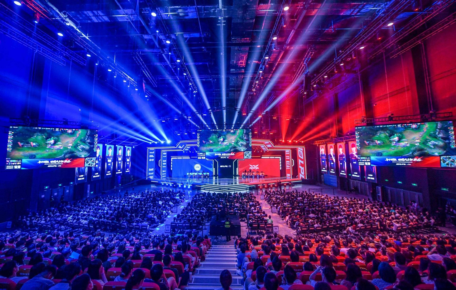 这一决定也 这一决定也