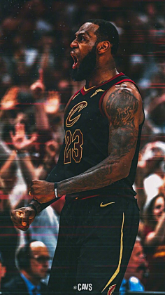 L形视野带 L形视野带