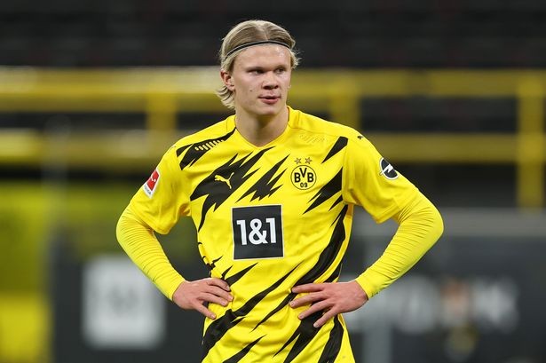 这些要素在 这些要素在